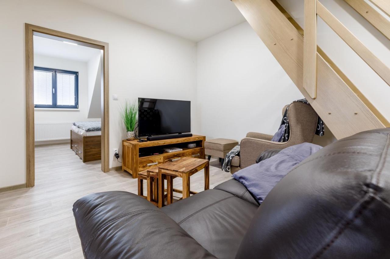 Apartment Ness Boží Dar 外观 照片