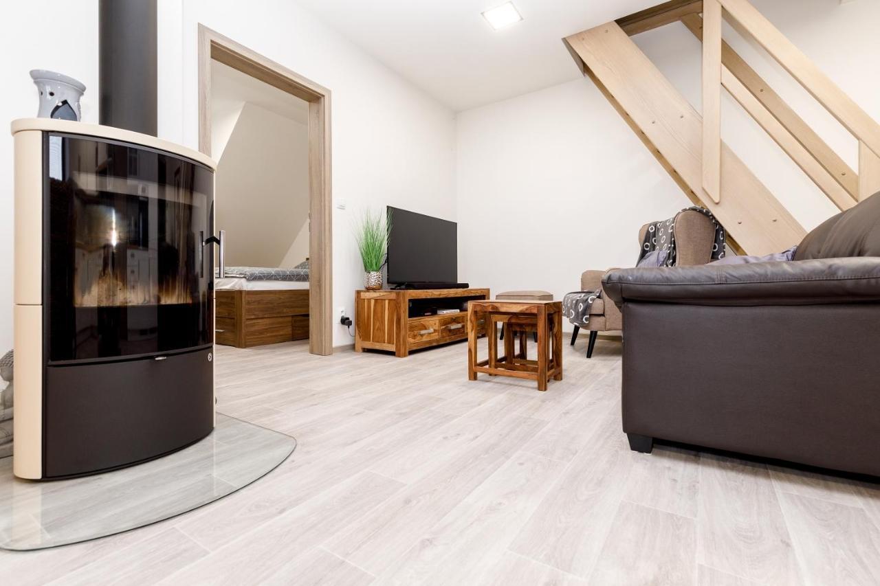 Apartment Ness Boží Dar 外观 照片